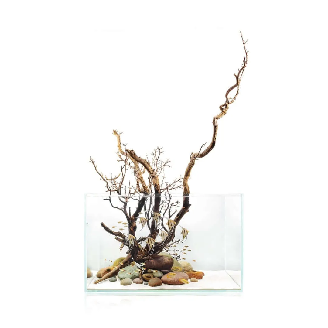UNS Rimless Standard Glass Aquarium — Precision 45° Mitered Beveled Edges