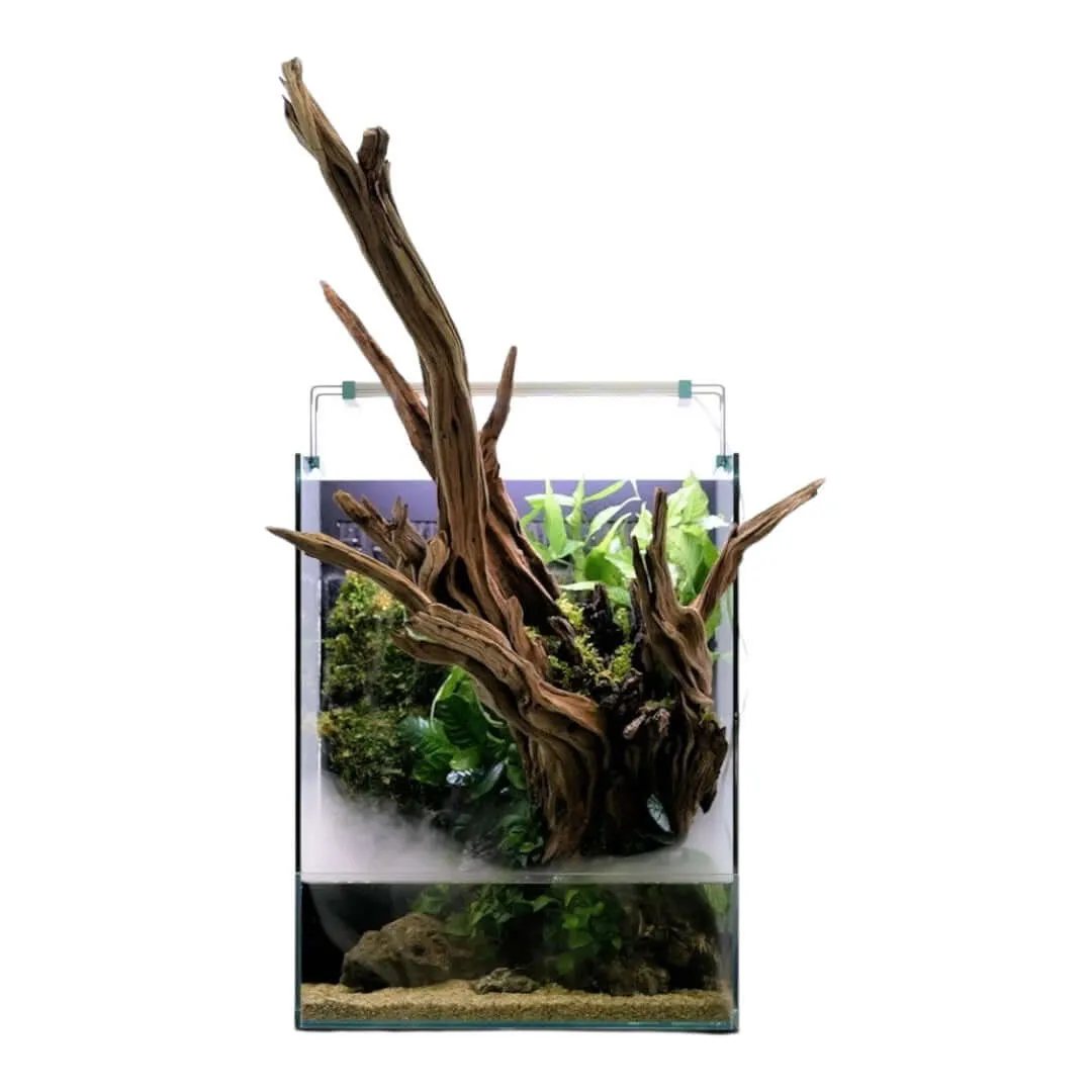 UNS Foresta Paludarium 35E — Integrated Multi-Stage Chamber Filtration