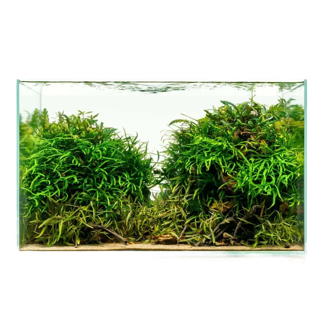 Ultum Nature Systems rimless glass showcase