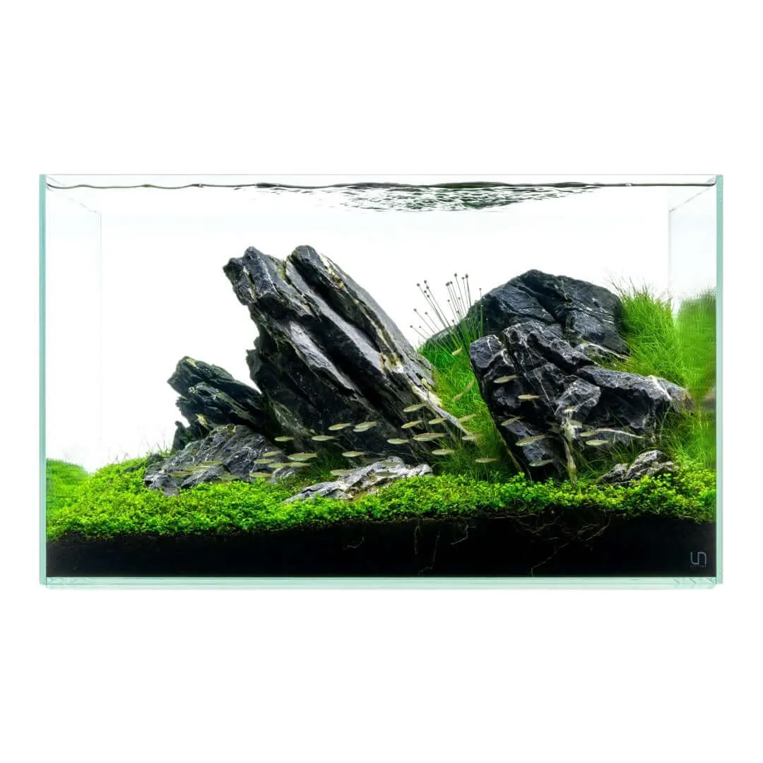 UNS Rimless Standard Glass Aquarium — 91% Diamant Low-Iron Optical Purity